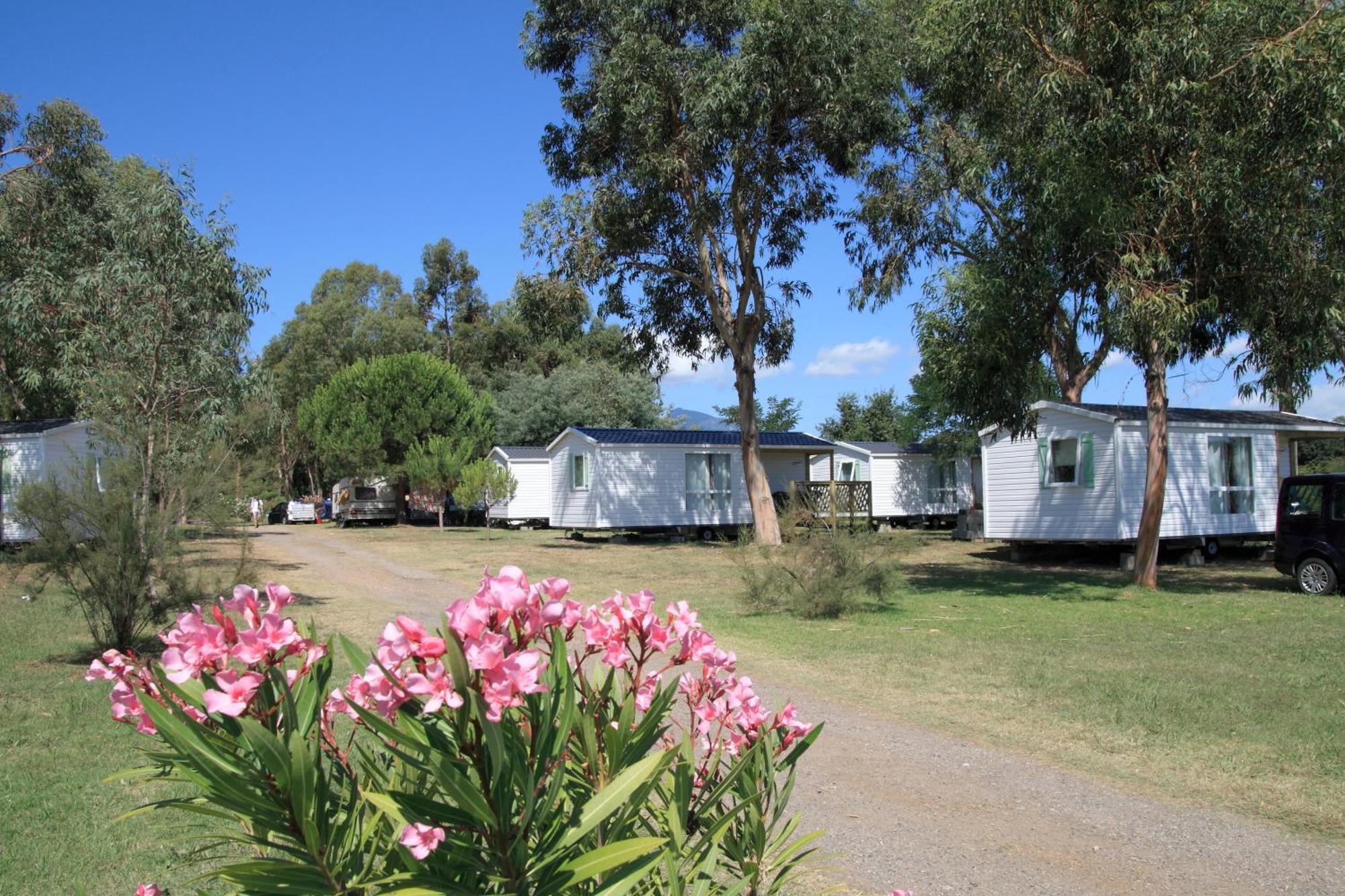 Hotel Camping Miami plage Poggio Mezzana Exterior foto