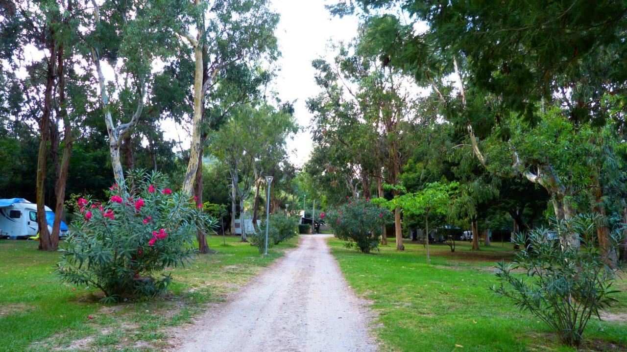 Hotel Camping Miami plage Poggio Mezzana Exterior foto